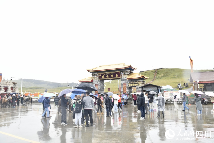 甘孜州塔公草原。人民網(wǎng)記者 王洪江攝