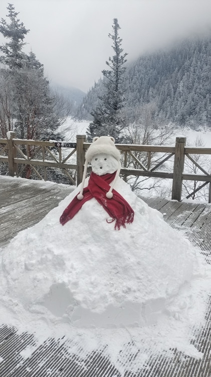 游客堆的雪人。九管局供圖