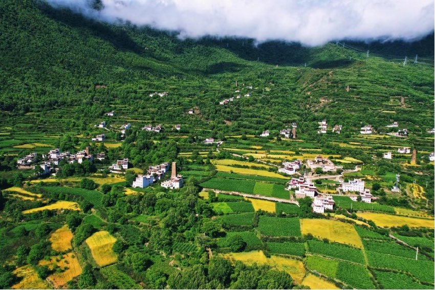 綠色丹巴。丹巴縣委宣傳部供圖