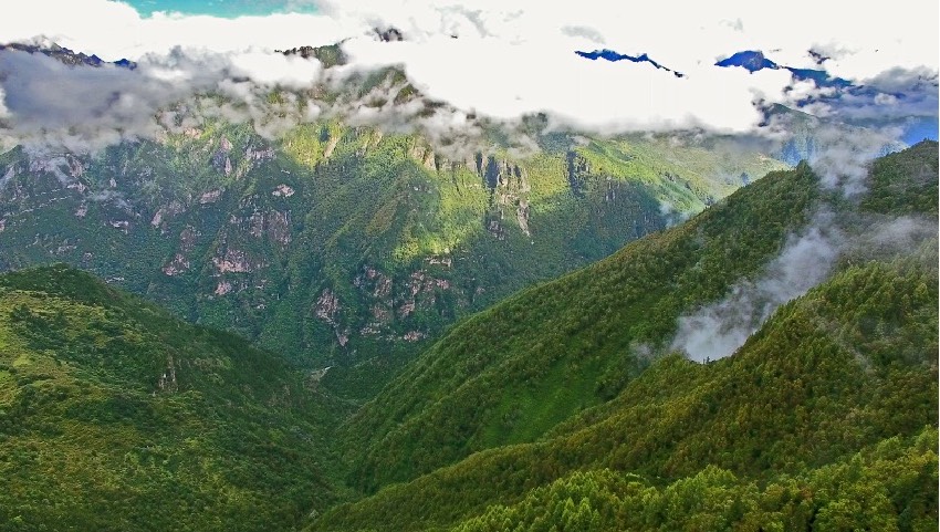 丹巴縣牦牛谷省級森林公園風光。丹巴縣委宣傳部供圖