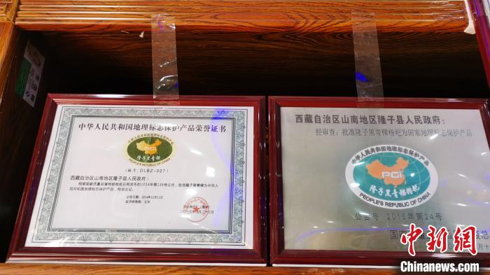 圖為2015年，隆子黑青稞成為中國國家地理標志保護產(chǎn)品。　張偉 攝