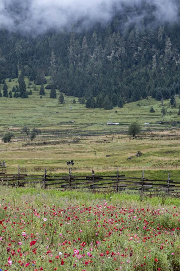 跟我，踏上最美“景觀大道”
