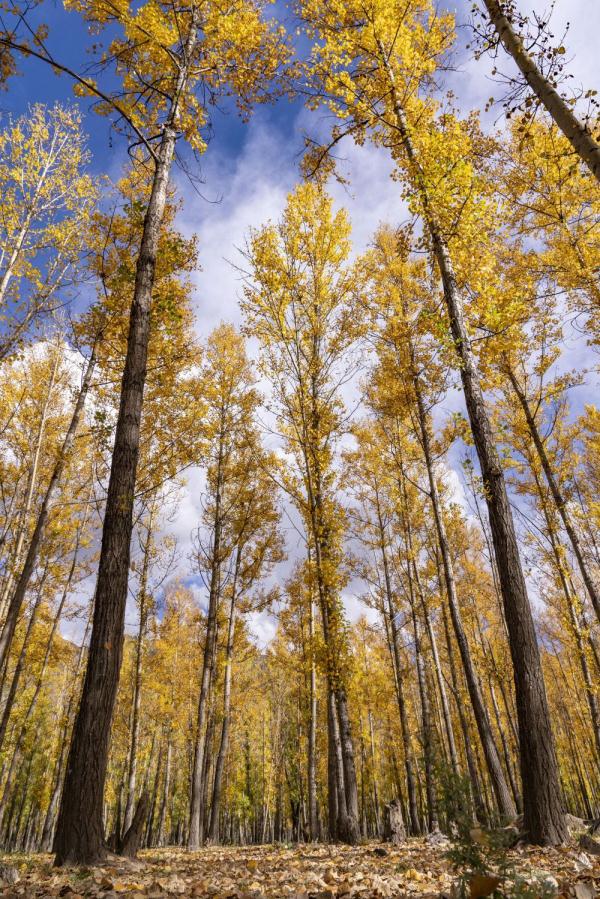 跟我，踏上最美“景觀大道”