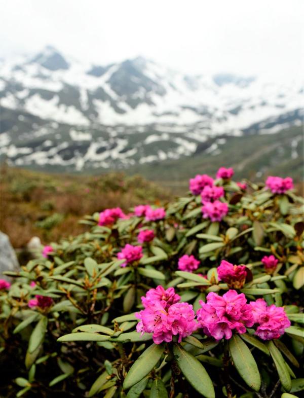 跟我，踏上最美“景觀大道”
