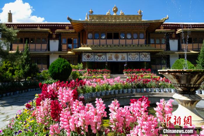 圖為夏日羅布林卡(資料圖)。趙朗攝