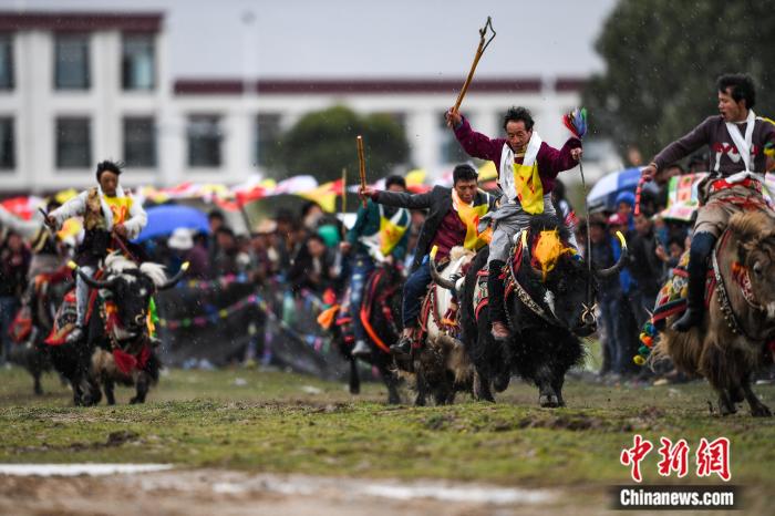 圖為拉薩郊縣的賽馬節(jié)(資料圖)。何蓬磊 攝