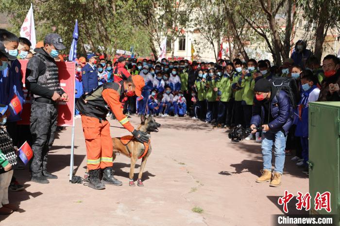 圖為搜救犬服從和箱體搜救演練?！≮w琳 攝