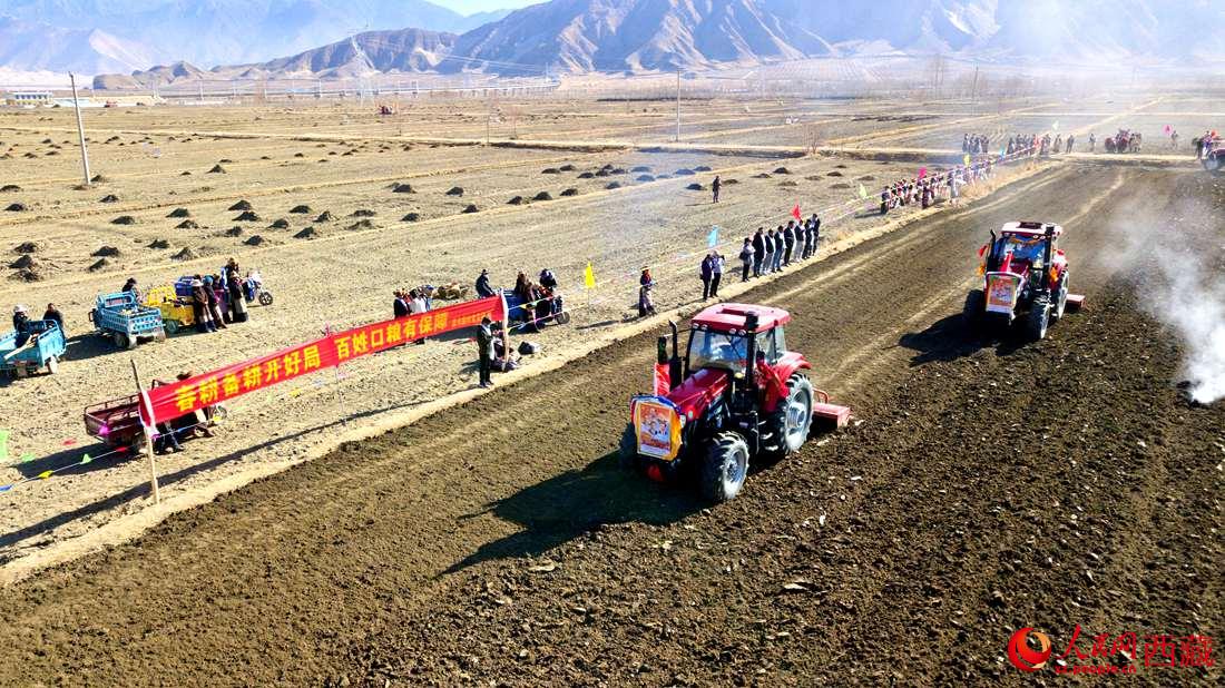 山南市扎囊縣扎其鄉(xiāng)孟卡榮村迎來春耕第一犁。人民網(wǎng) 次仁羅布攝