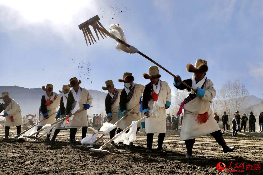 當?shù)卮迕裆碇?jié)日盛裝，舉行春耕儀式。人民網(wǎng) 次仁羅布攝