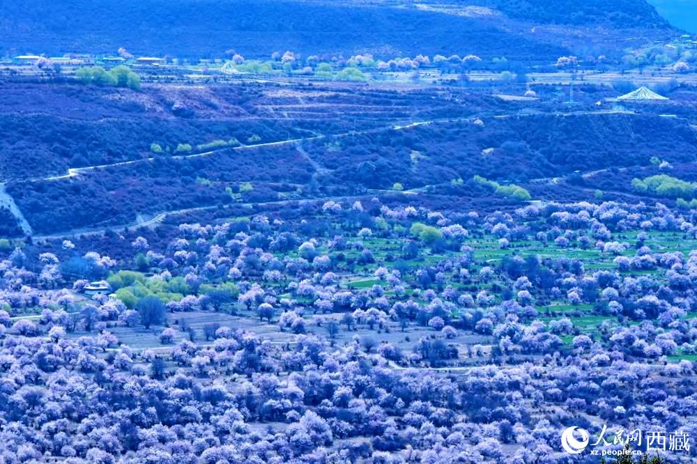 遠(yuǎn)眺“桃花村”。人民網(wǎng) 李海霞攝