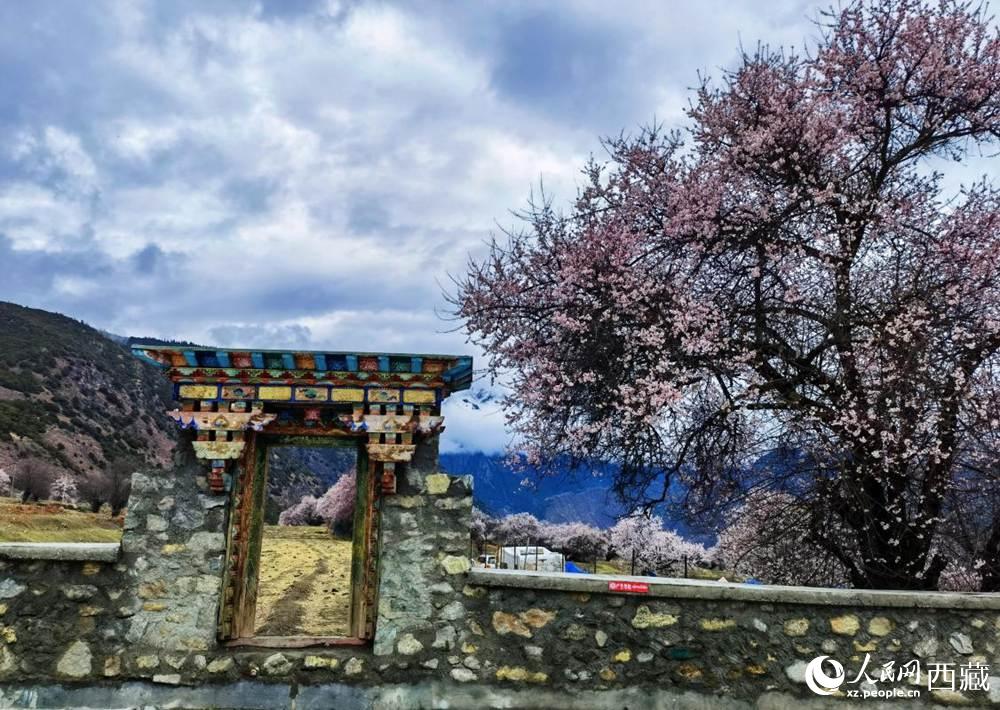 桃花下的藏式民居。人民網(wǎng) 李海霞攝
