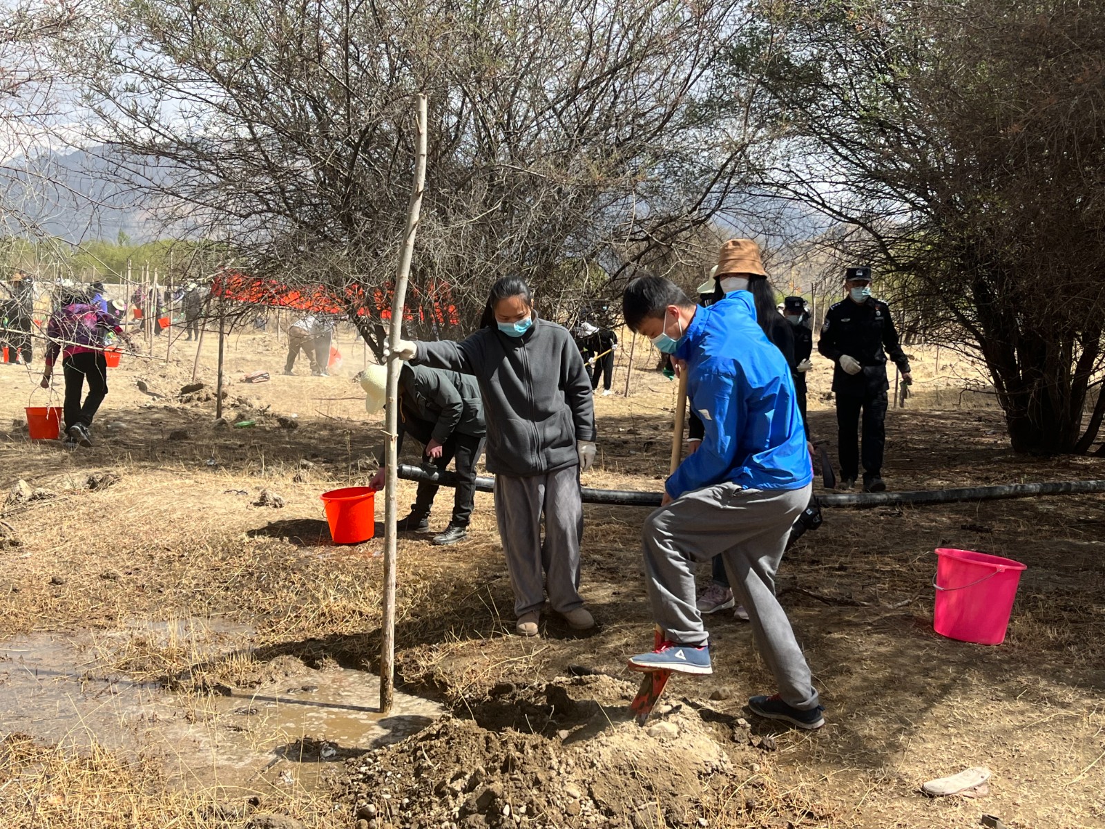 植樹(shù)現(xiàn)場(chǎng)，大家分工明確，配合默契(2000565)-20220420090303.jpg