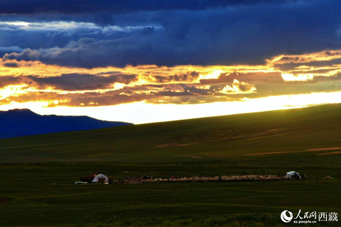 黃昏下的帳篷，牧民過著幸福生活。 人民網(wǎng) 李海霞攝