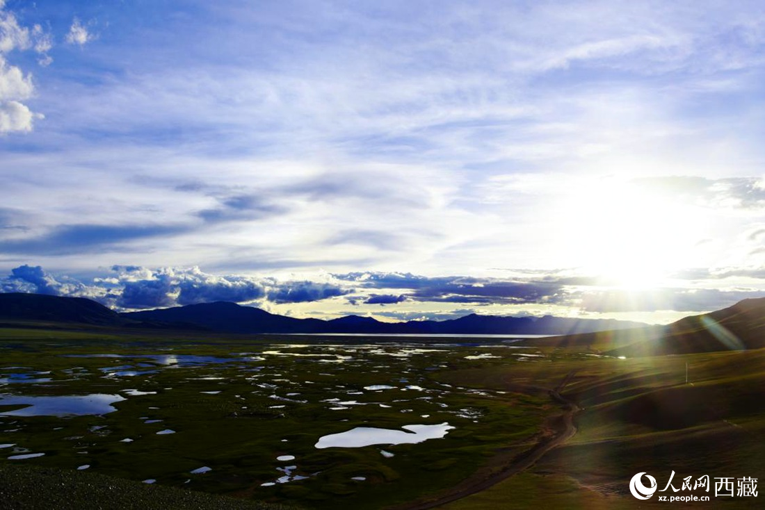 七月的羌塘草原處處是景。人民網(wǎng) 李海霞攝