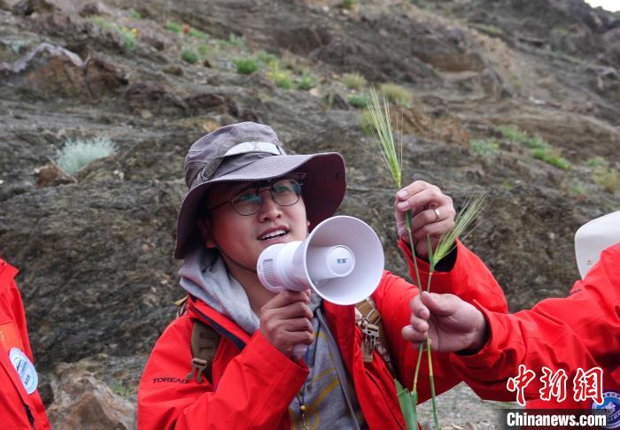 青藏科考：青稞如何走上青藏高原？