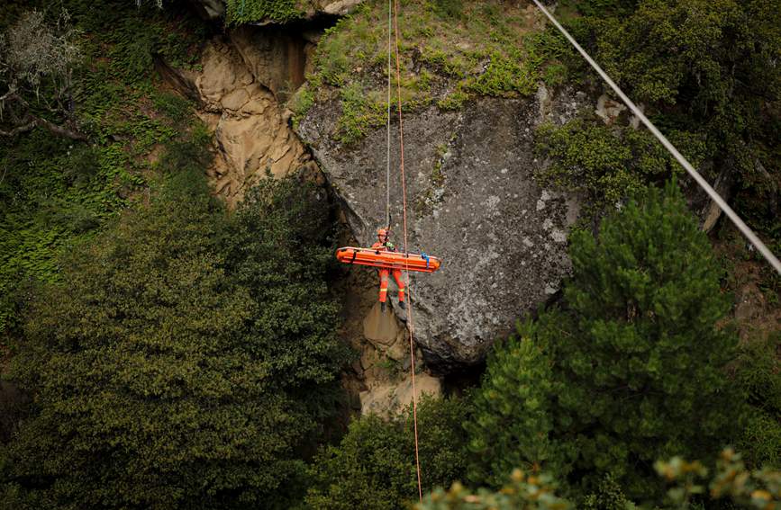 叢林中的橙色身影。西繞拉翁攝