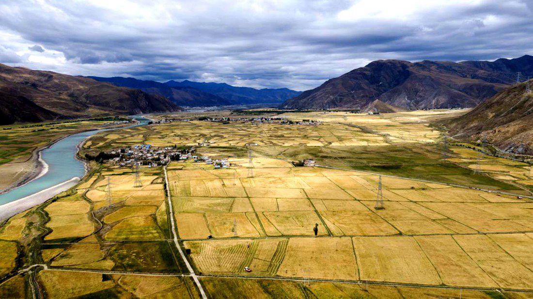 等待豐收的田野。洛克攝