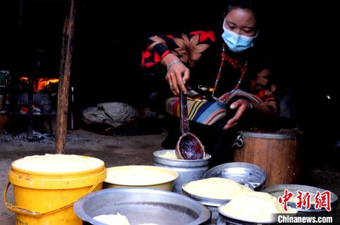 圖為牧民正在制作酥油?！∪湛t文聯(lián)供圖