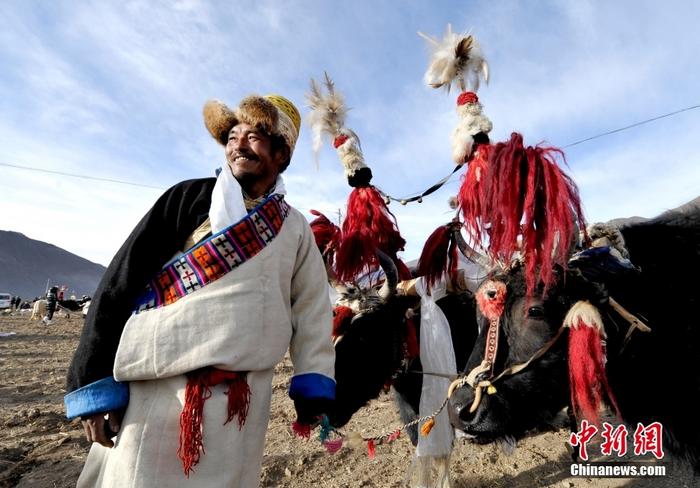 資料圖為2013年3月16日，拉薩市堆龍德慶區(qū)德慶村的農(nóng)民牽著牦牛參加春耕儀式，按照傳統(tǒng)方式由牦牛開第一犁。 <a target='_blank' href='/'><p  align=