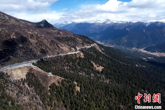 2月17日，西藏林芝魯朗林海。(無人機照片) 李林 攝