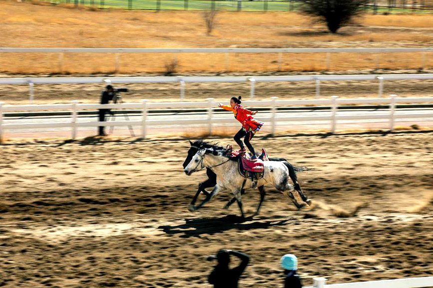 藏歷新年，精彩的馬術(shù)表演。張靜攝