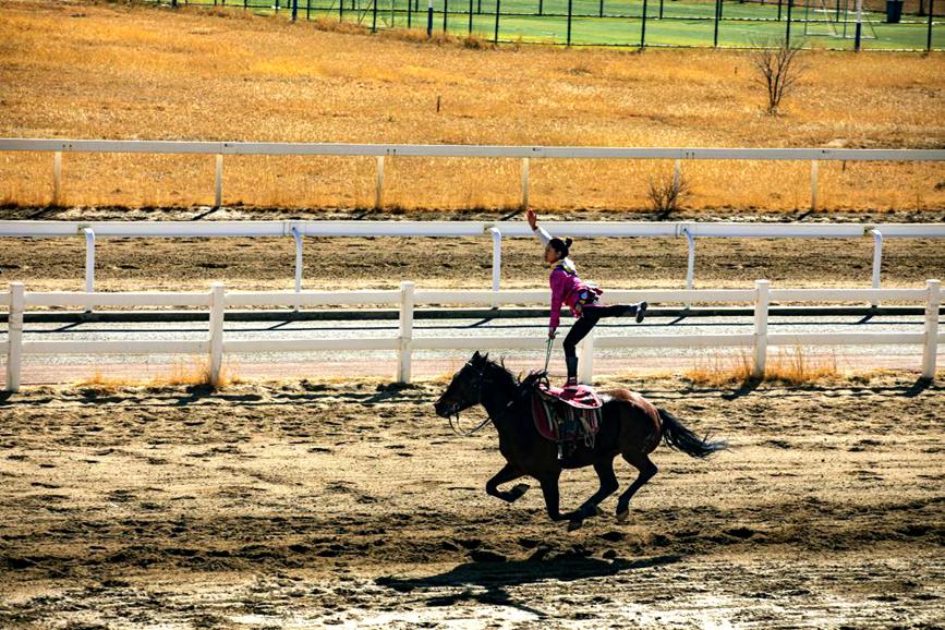 藏歷新年，精彩的馬術(shù)表演。張靜攝