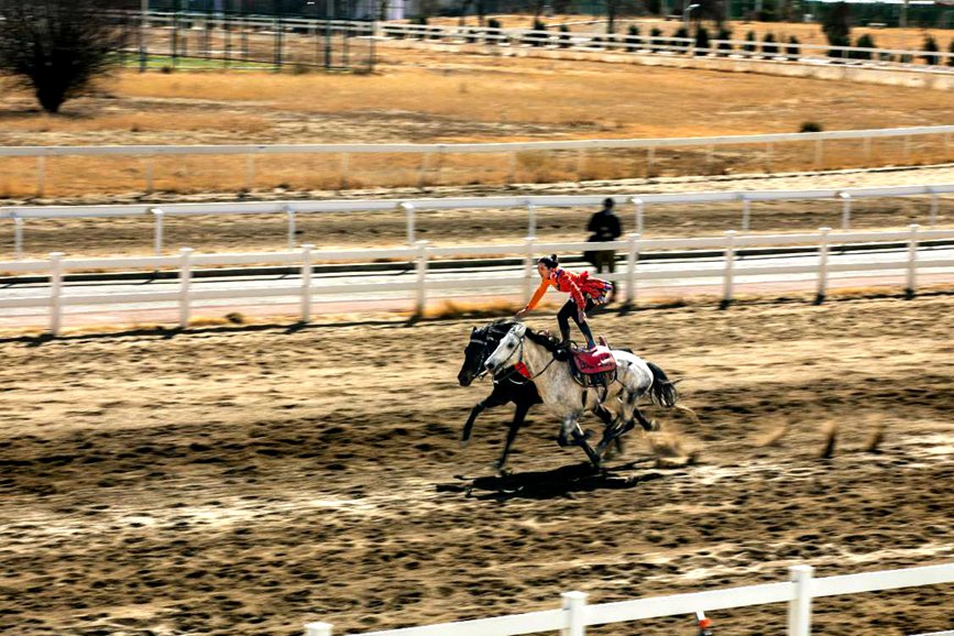藏歷新年，精彩的馬術(shù)表演。張靜攝