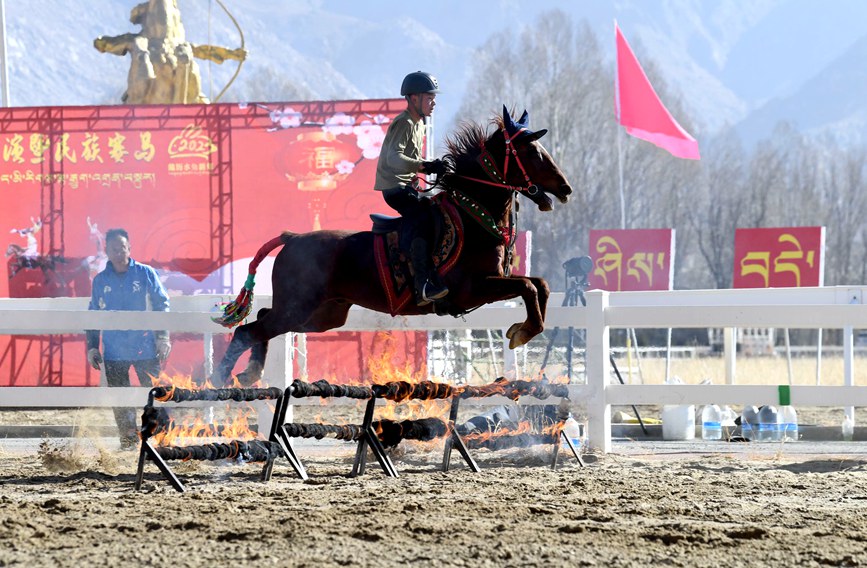 藏歷新年，精彩的馬術(shù)表演。潘多攝