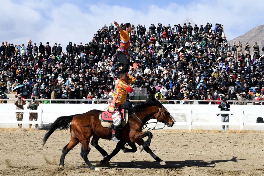 藏歷新年，精彩的馬術(shù)表演。潘多攝