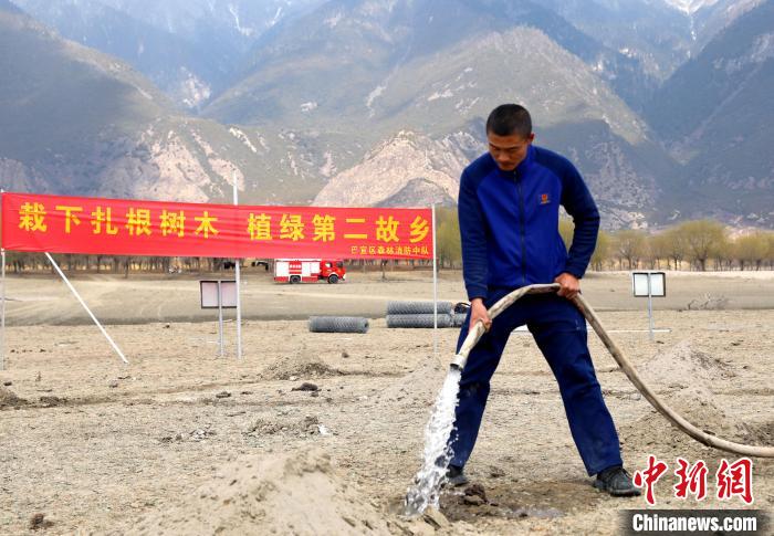 林芝市巴宜區(qū)森林消防中隊志愿服務(wù)隊澆水灌溉?！∥骼@拉翁 攝