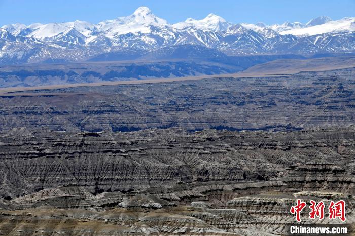 4月5日，西藏阿里札達(dá)土林?！±盍?攝