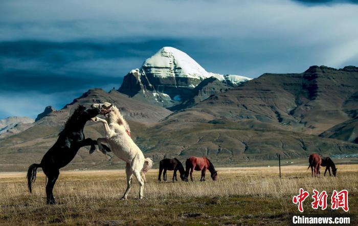 圖為參展攝影師拍攝的西藏阿里岡仁波齊?！≈鬓k方 供圖
