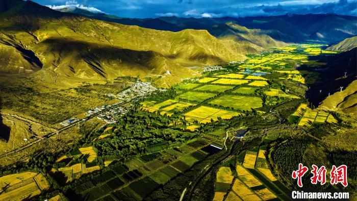 圖為山南雍布拉康附近農(nóng)田?！埼?攝