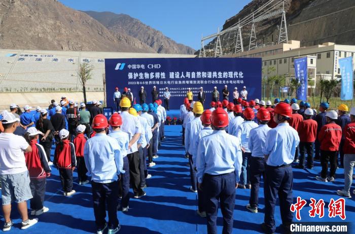 圖為蘇洼龍水電站魚類放流現(xiàn)場。　蘇洼龍水電站供圖