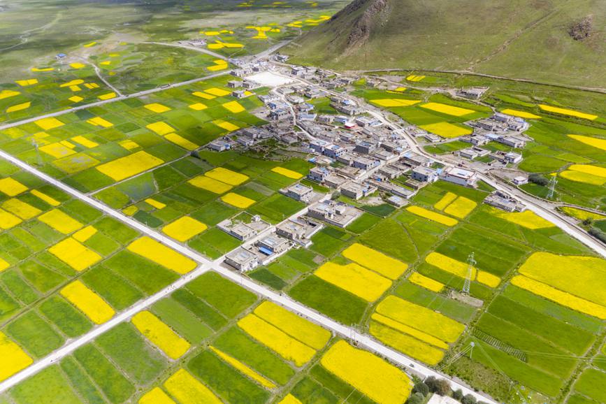 航拍道布龍村，依山傍水，阡陌縱橫。
