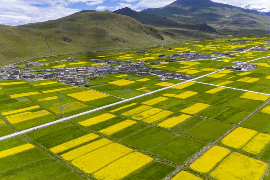 航拍道布龍村，依山傍水，阡陌縱橫。
