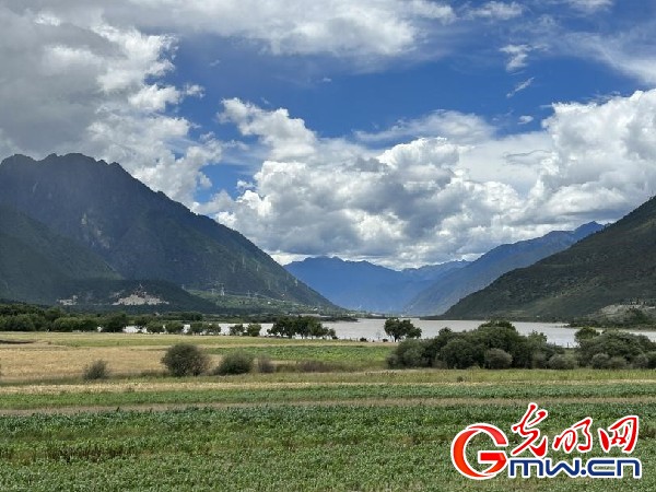 我們的家園｜林芝米林縣：河長護藥洲，碧水映花谷