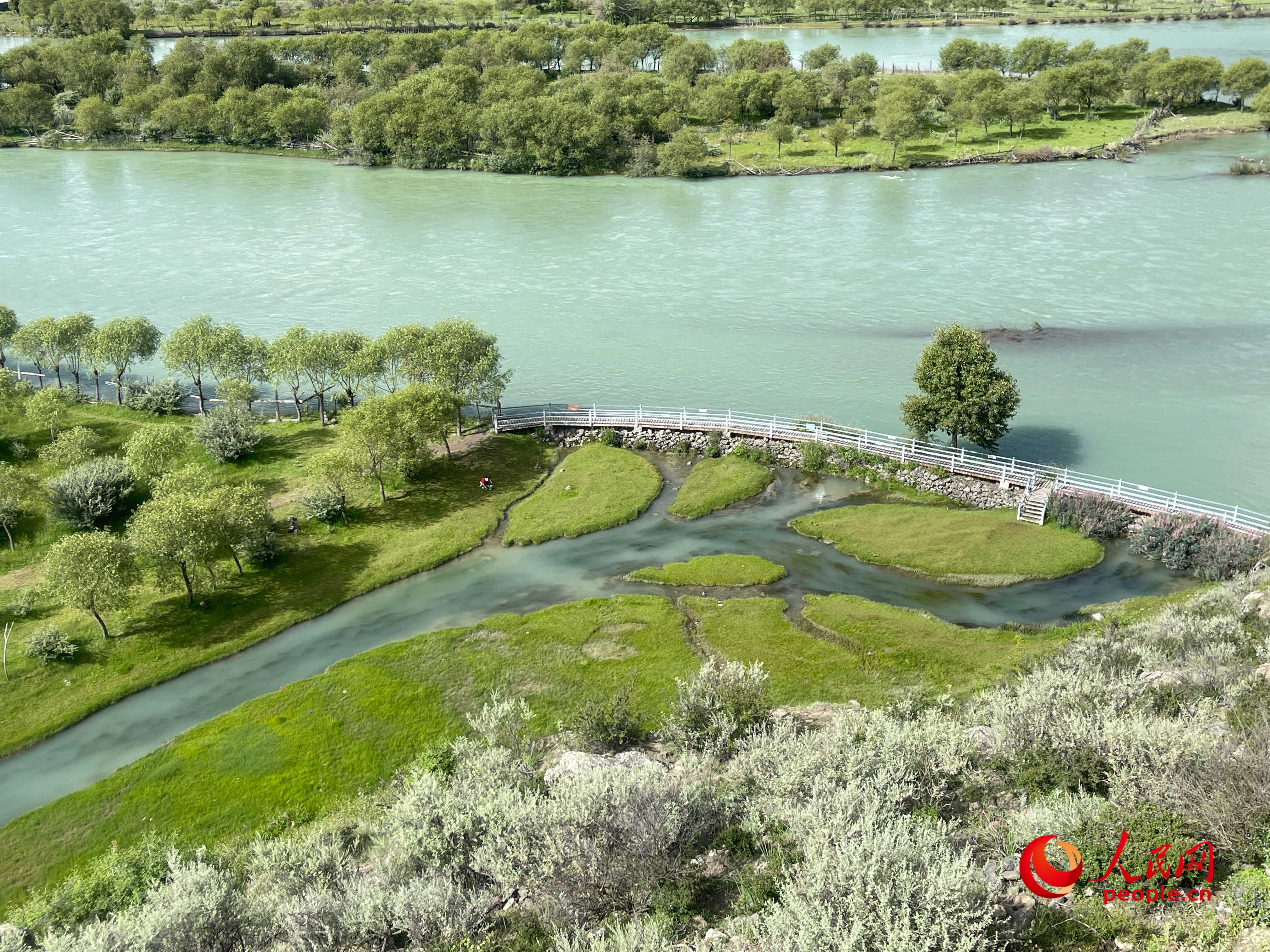 夏日的雅尼國家濕地公園生機盎然，如詩如畫。人民網 周靜圓攝