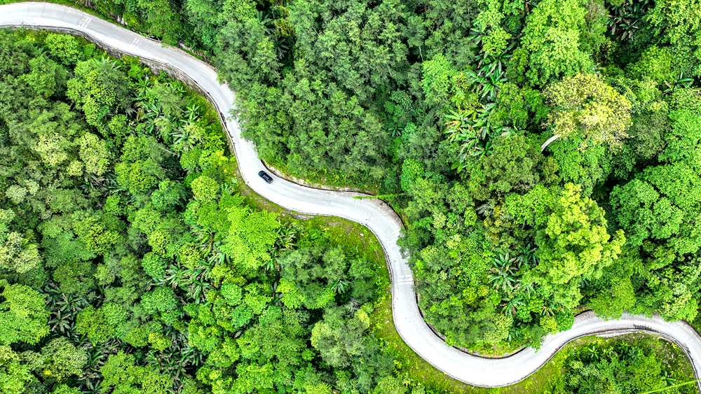 穿行于綠色間，生態(tài)優(yōu)良。張澤坤攝
