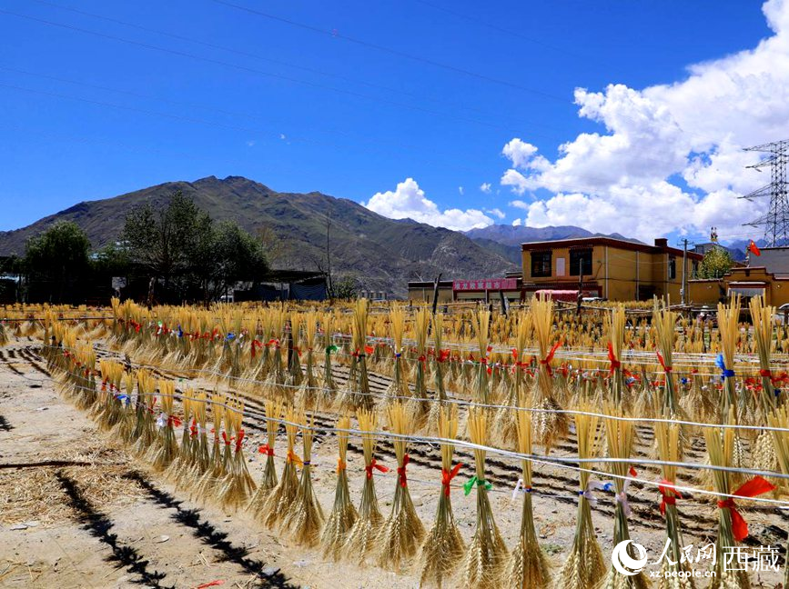 幸福生活曬出來(lái)。人民網(wǎng) 李海霞攝