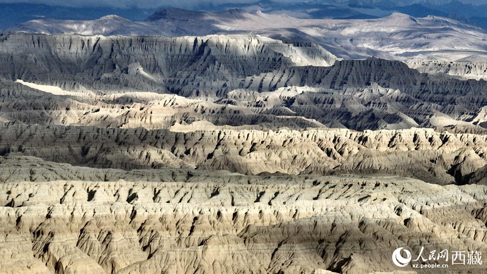 西藏阿里地區(qū)札達土林國家地質公園。人民網(wǎng)記者 次仁羅布攝