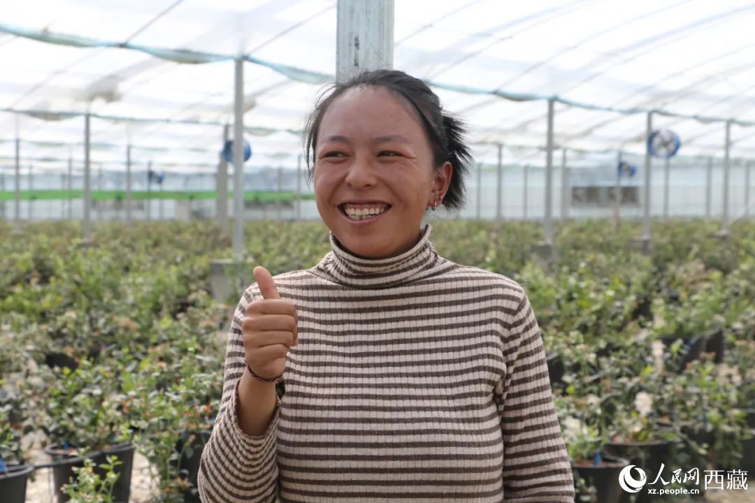 措姆品嘗自己精心照料的藍(lán)莓后，豎起了大拇指。次仁龍布攝