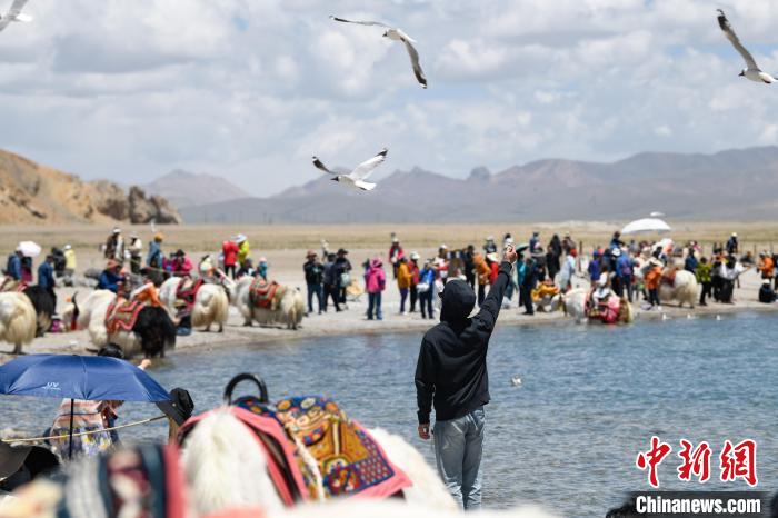 西藏納木錯(cuò)景色壯美引游人