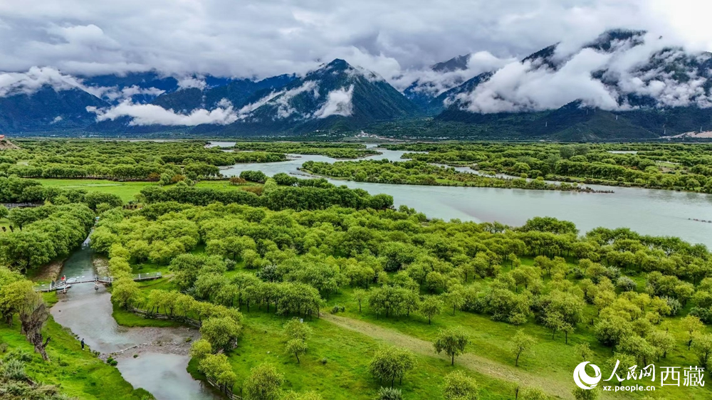 鳥瞰盛夏季節(jié)的雅尼濕地風(fēng)光。人民網(wǎng)記者 次仁羅布攝