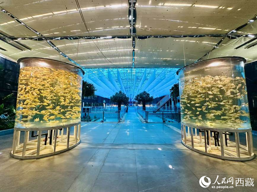 西普海洋公園。人民網(wǎng)記者 次仁羅布攝