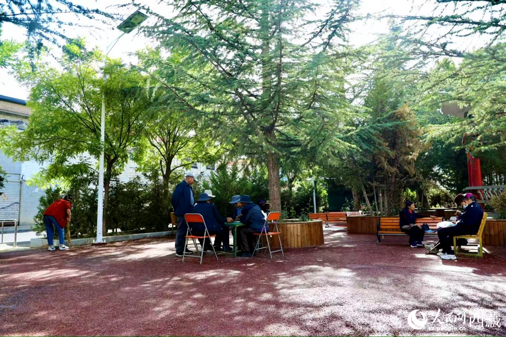 老人們?cè)诰G樹成蔭的“社區(qū)會(huì)客廳”中對(duì)弈休憩。人民網(wǎng)記者 次仁羅布攝