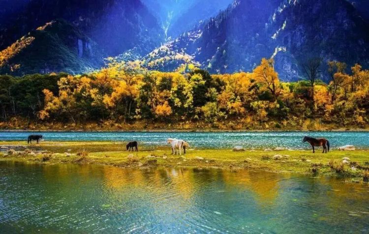 懂西藏的人，一定不會(huì)錯(cuò)過林芝的秋天