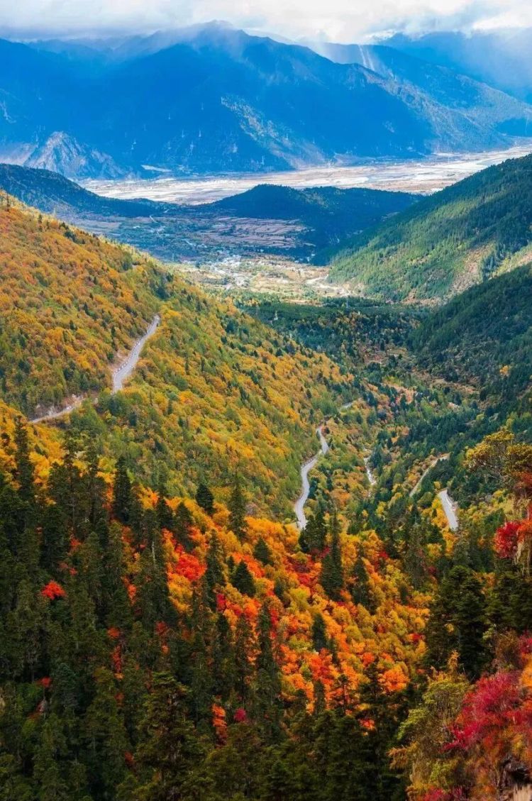 懂西藏的人，一定不會(huì)錯(cuò)過林芝的秋天