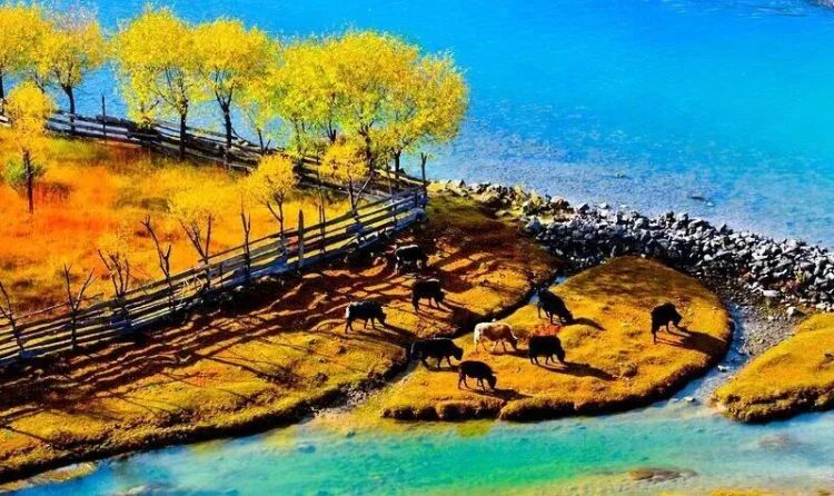 懂西藏的人，一定不會(huì)錯(cuò)過林芝的秋天