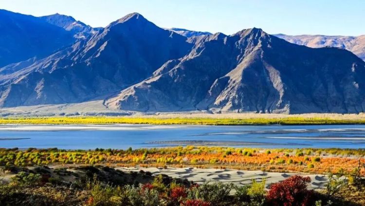 懂西藏的人，一定不會(huì)錯(cuò)過林芝的秋天